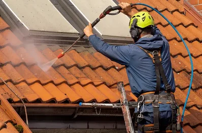 Démoussage et hydrofuge de toiture à Genneton
